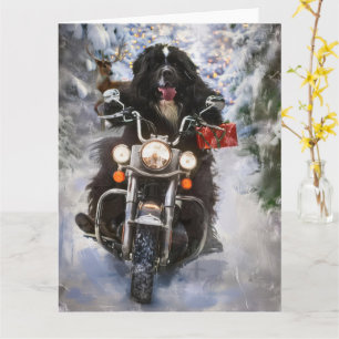 Cartão Newland Dog Riding Motorcycle Christmas