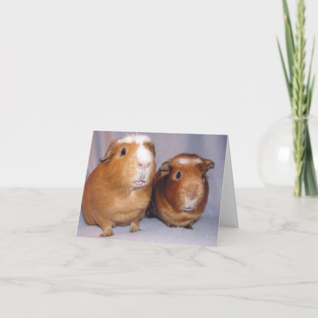 Cartão Newton e Skeeter Notecard (Frente)