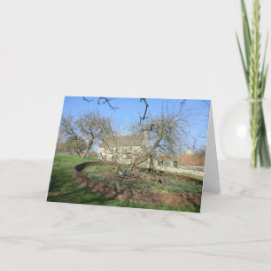 Cartão Newton's Tree at Woolthorpe Manor