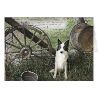 Cartão newtpraticefielddragonizer4x6