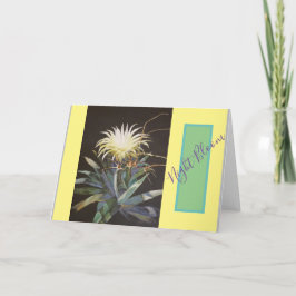 Cartão ''Night Bloom'' de Bruce Tunis