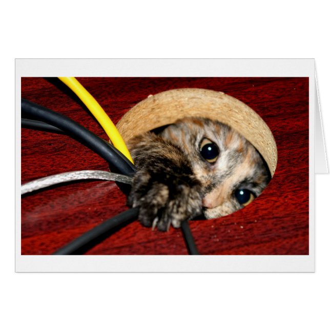 Cartão Ninfoma de mesa (Frente horizontal)