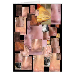 CARTÃO NINGUÉM CHEIRA