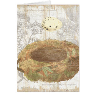 Cartão Ninho com ovo salpicado