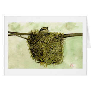 Cartão Ninho do Parula do norte