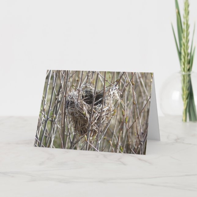 Cartão Ninho Pequeno (Frente)