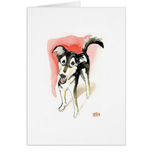 Cartão No.1 máximo