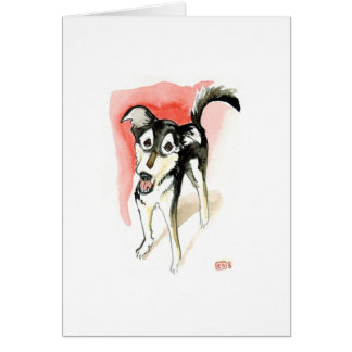 Cartão No.1 máximo