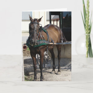 Cartão No aniversário do Posto Hitching