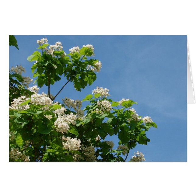 Cartão No Bloom de Cheio (Frente Horizontal)