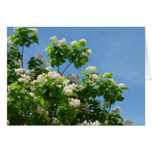 Cartão No Bloom de Cheio