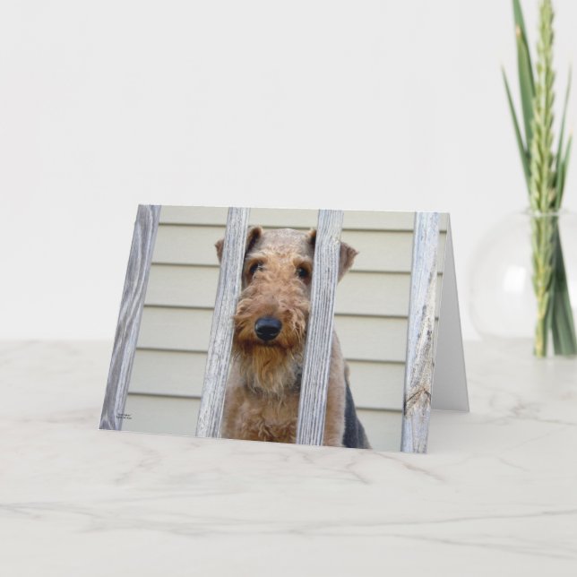 Cartão "No Cachorro" (Frente)