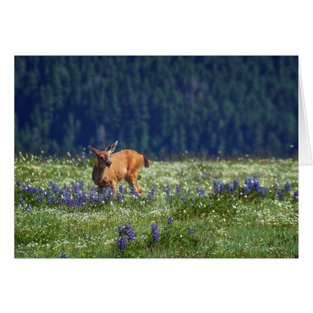 Cartão No campo (Frente horizontal)