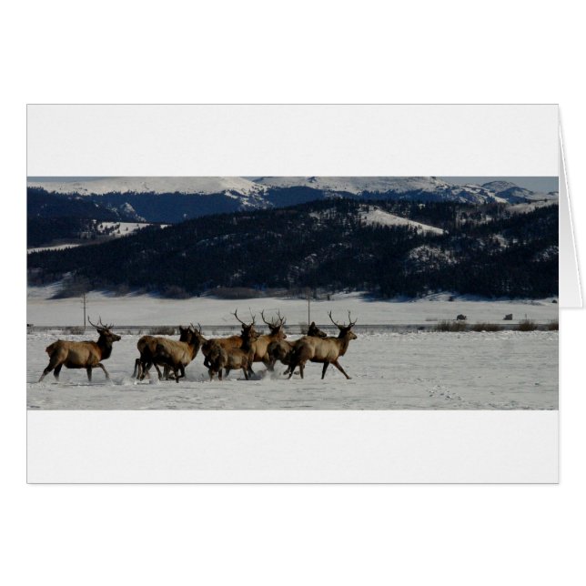 Cartão No funcionamento (Frente Horizontal)