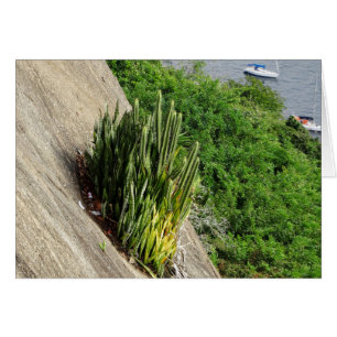 Cartão No Pão de Açúcar