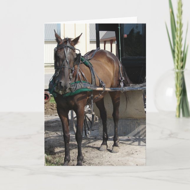 Cartão No Posto Hitching (Frente)