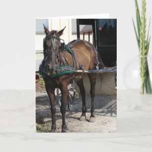 Cartão No Posto Hitching