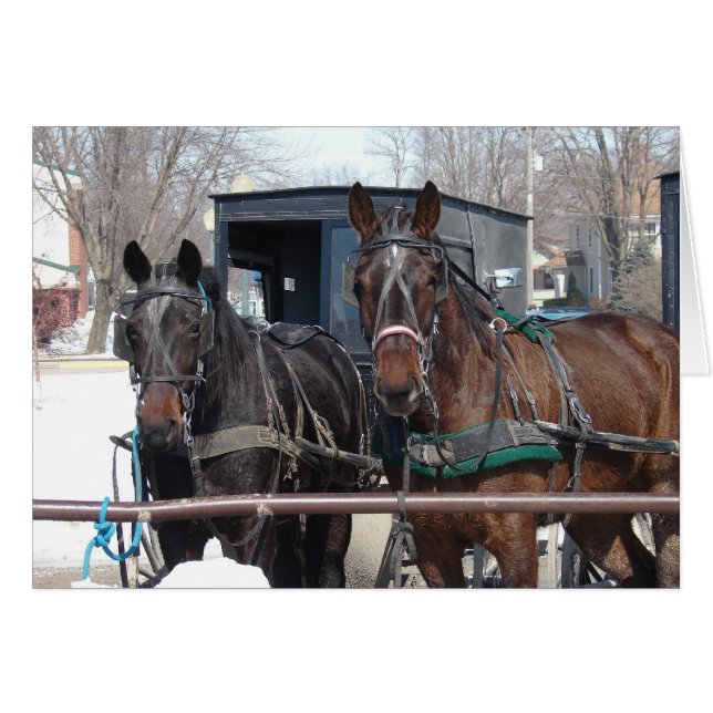 Cartão No Posto Hitching (Frente Horizontal)