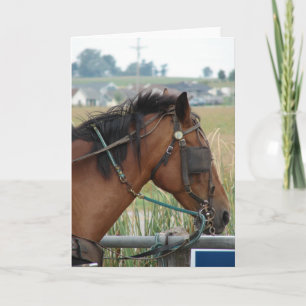 Cartão No Posto Hitching