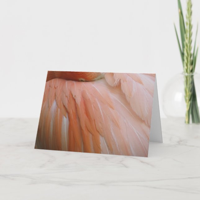 Cartão No rosa (Frente)