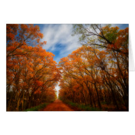 Cartão Noite do outono