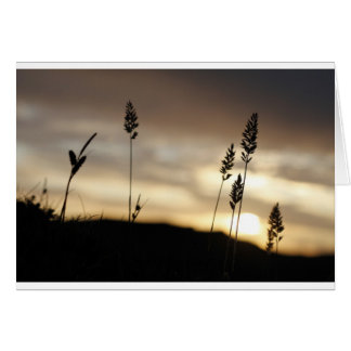 Cartão Noites de Verão