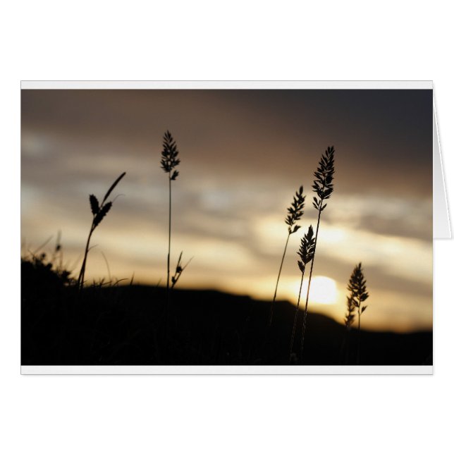 Cartão Noites de Verão (Frente Horizontal)