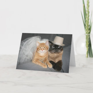Cartão noiva e noiva do gatinho