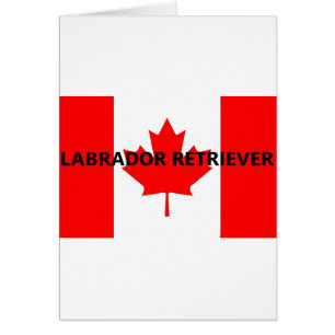 Cartão nome de laboratório canadense-Flag