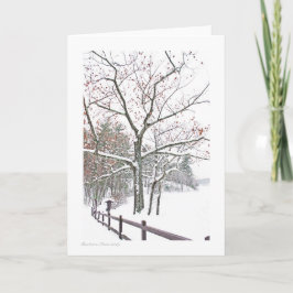 Cartão +Nomeações na natureza: Tamanho do cumprimento