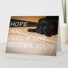 Cartão Noodle quer que você seja melhor grande