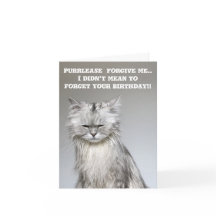 NoodlesChillaxingCat Belo Aniversário