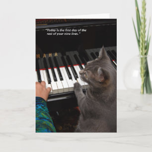 Cartão Nora Cotação 5" x 7" Folheto de Saudação