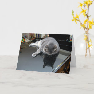 Cartão Nora The Piano Cat - Blank Folded Card - Style 006