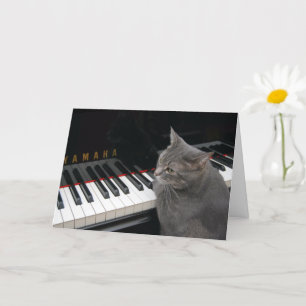 Cartão Nora The Piano Cat - Blank Folded Card - Style 7