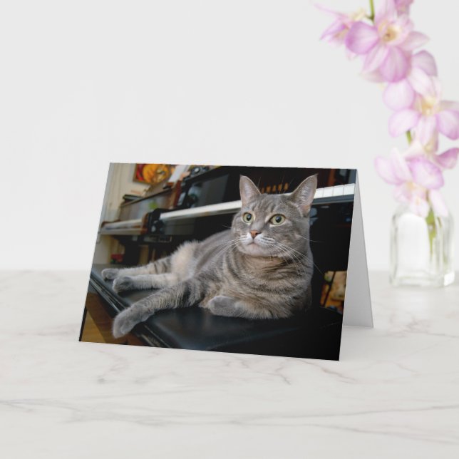 Cartão Nora The Piano Cat - Placa Dobrada Do Vazio - Esti (Orquídea)