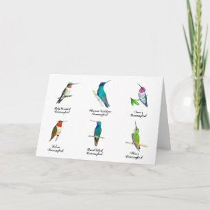 Cartão North American Hummingbirds Card