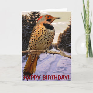 Cartão Northern flicker customizable greetings card