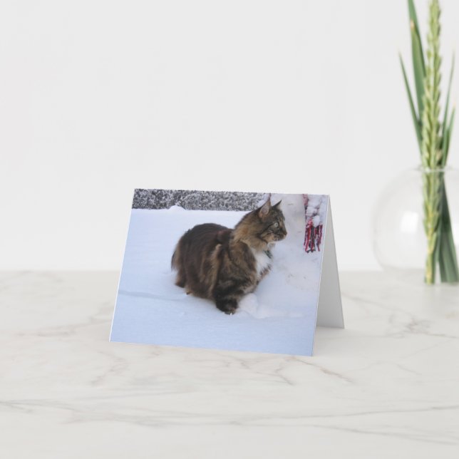 Cartão norwegian forest cat in snow (Frente)