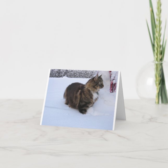 Cartão norwegian forest cat in snow (Frente)
