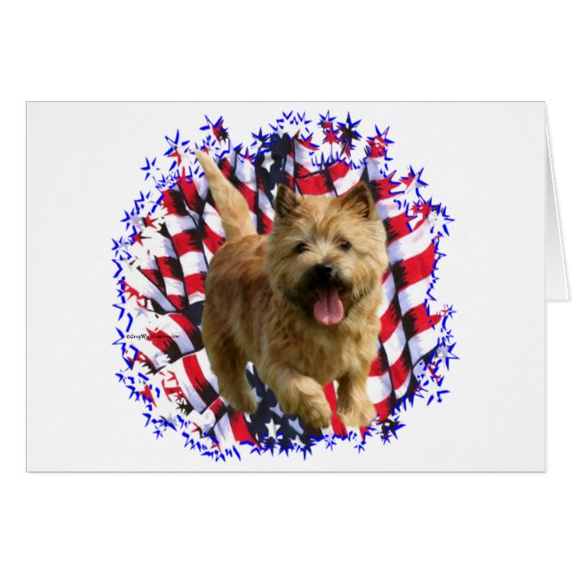 Cartão Norwich Terrier Patriot (Frente Horizontal)