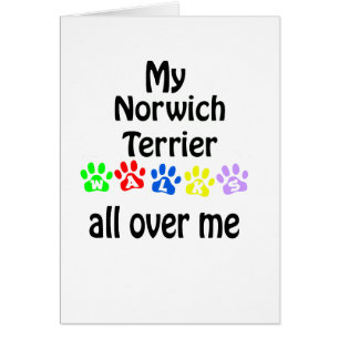 Cartão Norwich Terrier Walks Design