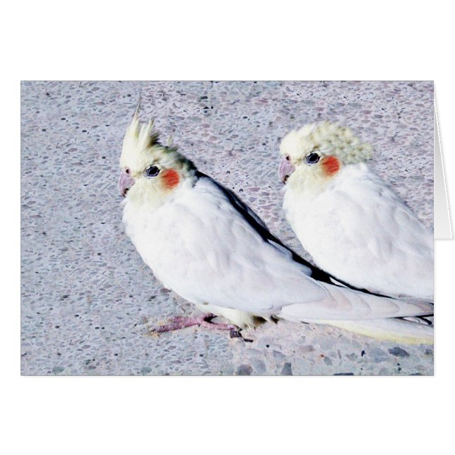 Cartão Nós Te Amo. (Frente Horizontal)