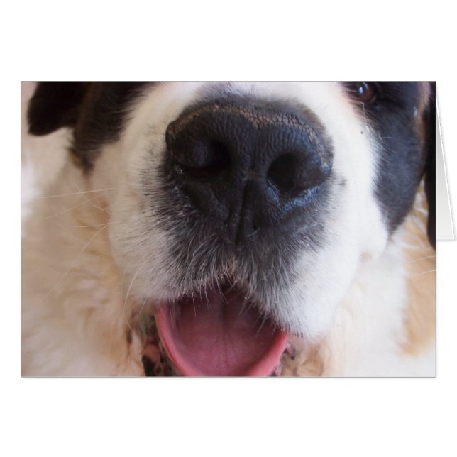 Cartão Nose de Ruthie (Frente Horizontal)