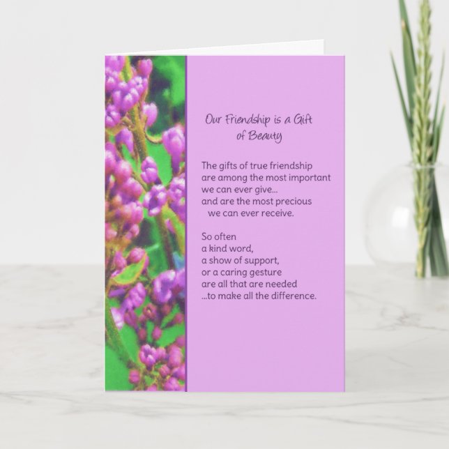 Cartão Nossa Amizade é um presente de beleza... (Frente)