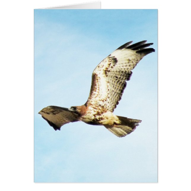 Cartão "Nossa grande glória. "Falcão Vermelho-Atado em (Frente)