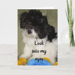 CARTÃO "NOSSO ANIVERSÁRIO" O QUE ACHA QUE ESTOU PENSANDO?