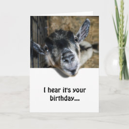 Cartão Nosy Goat Olhando Para Cima - Aniversário