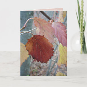 Cartão Not Yet Fallen