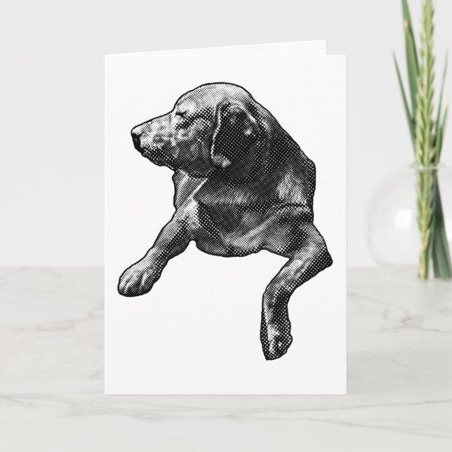 Cartão Nota da Dot-Soft para a Temporada (Frente)